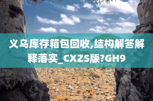 义乌库存箱包回收,结构解答解释落实_CXZS版?GH9