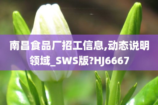 南昌食品厂招工信息,动态说明领域_SWS版?HJ6667