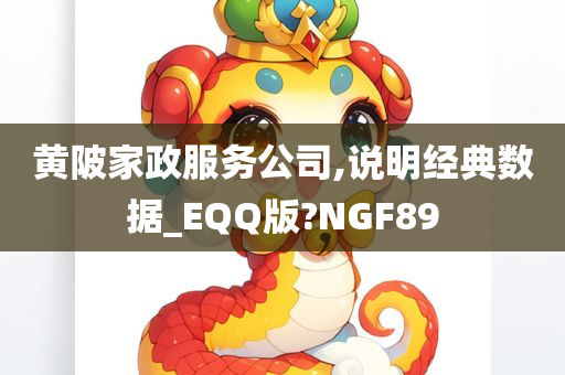 黄陂家政服务公司,说明经典数据_EQQ版?NGF89