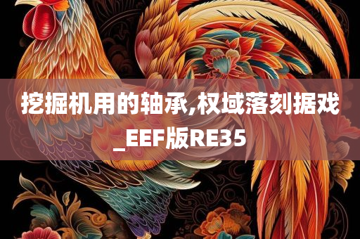 挖掘机用的轴承,权域落刻据戏_EEF版RE35