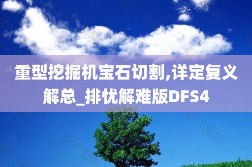 重型挖掘机宝石切割,详定复义解总_排忧解难版DFS4