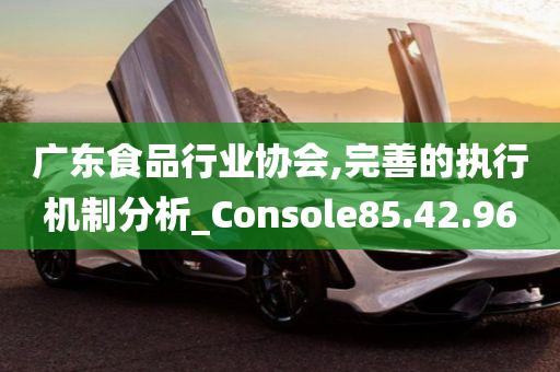 广东食品行业协会,完善的执行机制分析_Console85.42.96