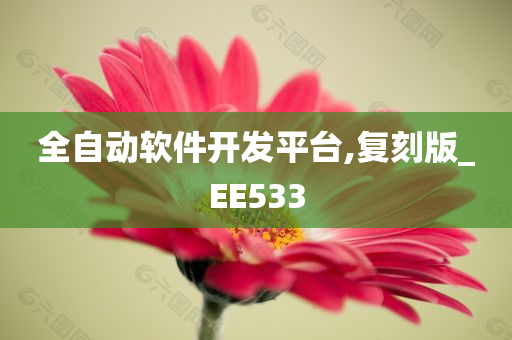 全自动软件开发平台,复刻版_EE533