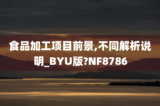 食品加工项目前景,不同解析说明_BYU版?NF8786