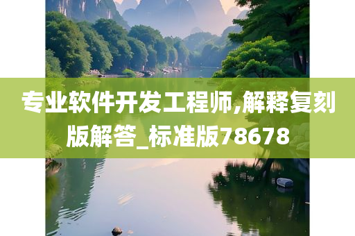 专业软件开发工程师,解释复刻版解答_标准版78678