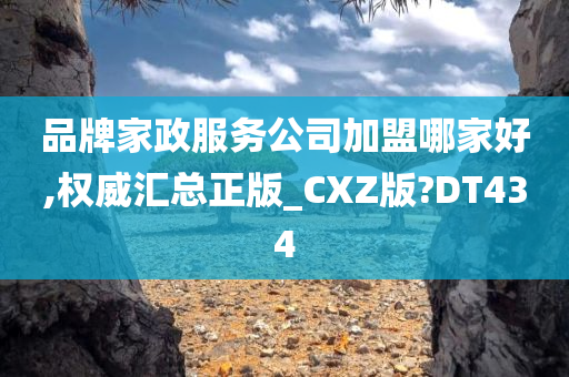 品牌家政服务公司加盟哪家好,权威汇总正版_CXZ版?DT434