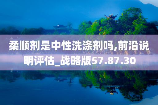 柔顺剂是中性洗涤剂吗,前沿说明评估_战略版57.87.30