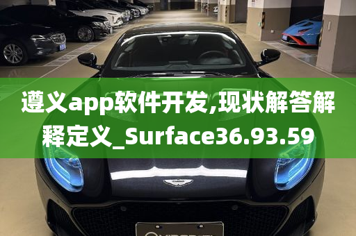 遵义app软件开发,现状解答解释定义_Surface36.93.59