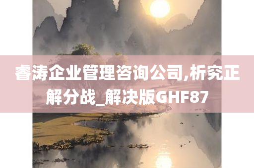 睿涛企业管理咨询公司,析究正解分战_解决版GHF87