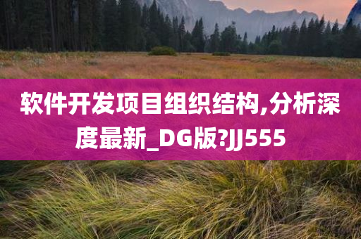 软件开发项目组织结构,分析深度最新_DG版?JJ555