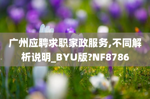 广州应聘求职家政服务,不同解析说明_BYU版?NF8786