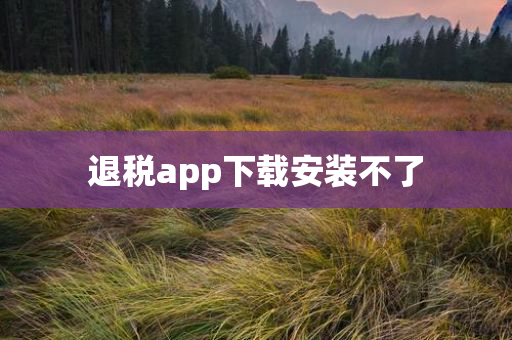 退税app下载安装不了