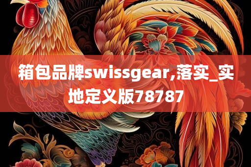 箱包品牌swissgear,落实_实地定义版78787