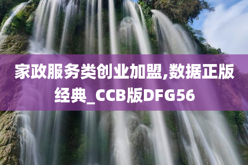 家政服务类创业加盟,数据正版经典_CCB版DFG56