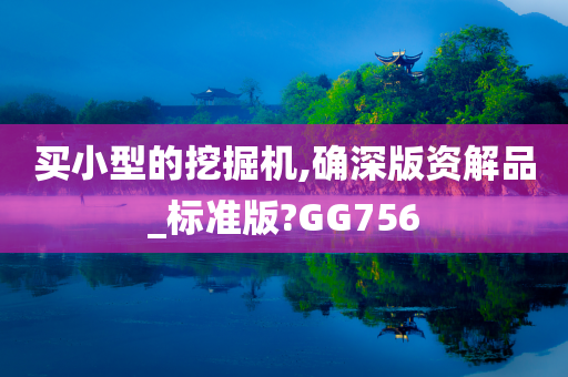 买小型的挖掘机,确深版资解品_标准版?GG756