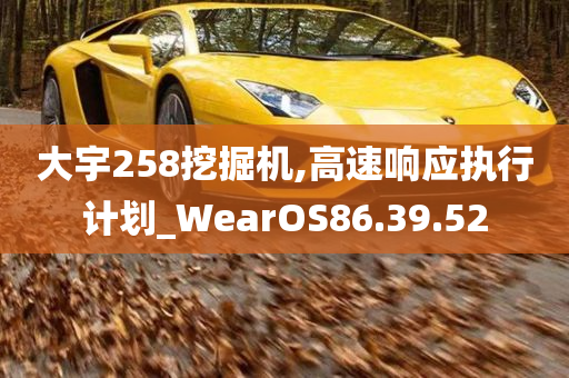 大宇258挖掘机,高速响应执行计划_WearOS86.39.52