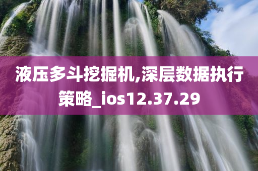 液压多斗挖掘机,深层数据执行策略_ios12.37.29