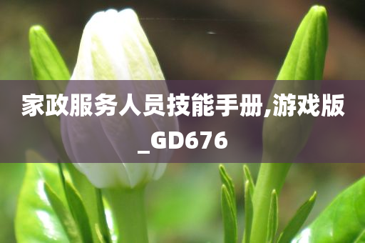 家政服务人员技能手册,游戏版_GD676