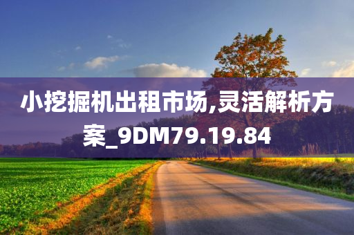 小挖掘机出租市场,灵活解析方案_9DM79.19.84