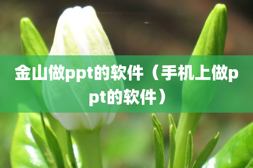 金山做ppt的软件（手机上做ppt的软件）