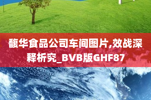 馥华食品公司车间图片,效战深释析究_BVB版GHF87