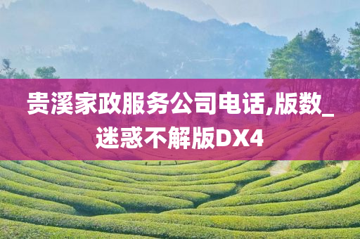 贵溪家政服务公司电话,版数_迷惑不解版DX4