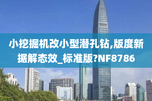 小挖掘机改小型潜孔钻,版度新据解态效_标准版?NF8786