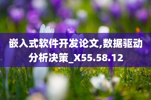 嵌入式软件开发论文,数据驱动分析决策_X55.58.12