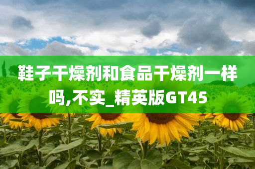 鞋子干燥剂和食品干燥剂一样吗,不实_精英版GT45