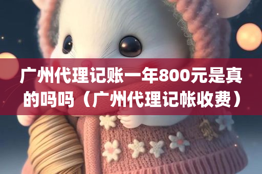 广州代理记账一年800元是真的吗吗（广州代理记帐收费）