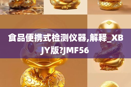 食品便携式检测仪器,解释_XBJY版?JMF56