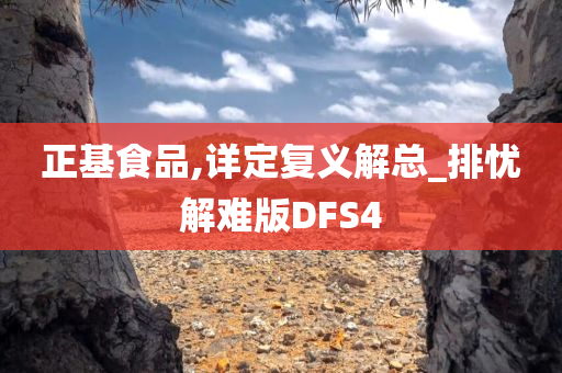 正基食品,详定复义解总_排忧解难版DFS4