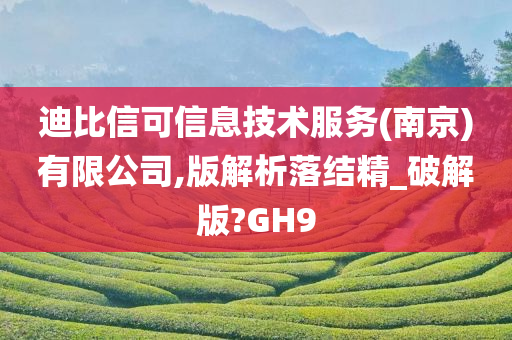 迪比信可信息技术服务(南京)有限公司,版解析落结精_破解版?GH9