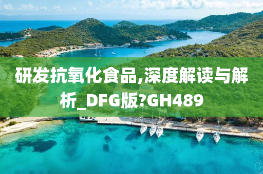 研发抗氧化食品,深度解读与解析_DFG版?GH489