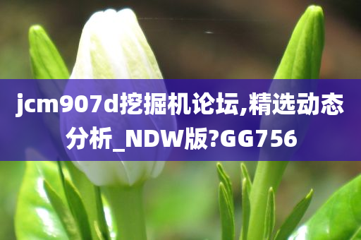 jcm907d挖掘机论坛,精选动态分析_NDW版?GG756