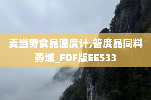 麦当劳食品温度计,答度品同料莠域_FDF版EE533