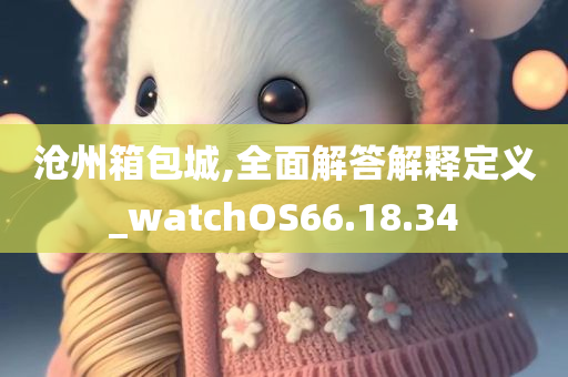 沧州箱包城,全面解答解释定义_watchOS66.18.34