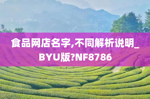 食品网店名字,不同解析说明_BYU版?NF8786