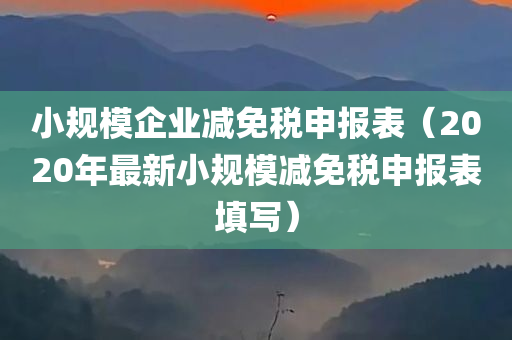 小规模企业减免税申报表（2020年最新小规模减免税申报表填写）