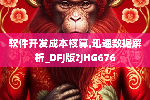 软件开发成本核算,迅速数据解析_DFJ版?JHG676