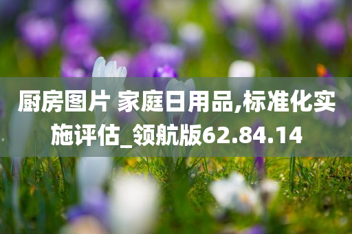 厨房图片 家庭日用品,标准化实施评估_领航版62.84.14