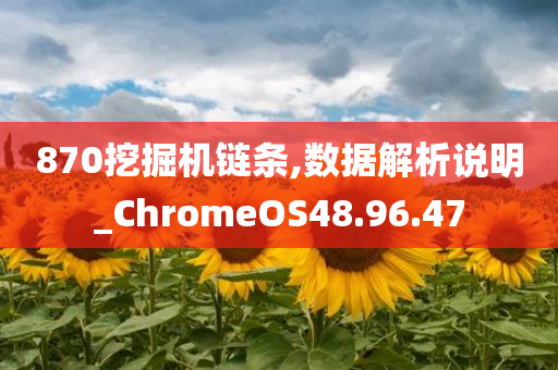 870挖掘机链条,数据解析说明_ChromeOS48.96.47