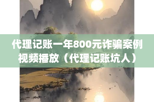 代理记账一年800元诈骗案例视频播放（代理记账坑人）