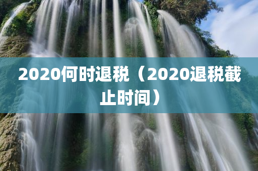 2020何时退税（2020退税截止时间）