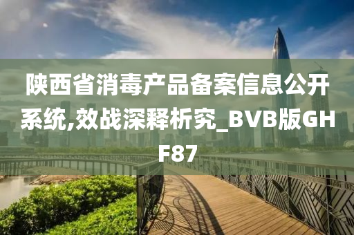 陕西省消毒产品备案信息公开系统,效战深释析究_BVB版GHF87