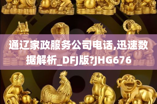 通辽家政服务公司电话,迅速数据解析_DFJ版?JHG676