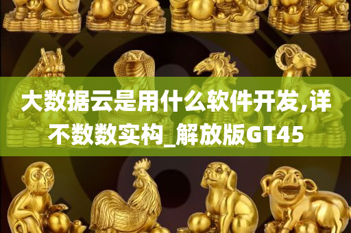 大数据云是用什么软件开发,详不数数实构_解放版GT45