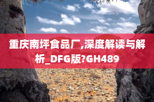 重庆南坪食品厂,深度解读与解析_DFG版?GH489