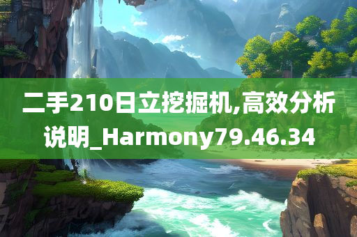 二手210日立挖掘机,高效分析说明_Harmony79.46.34