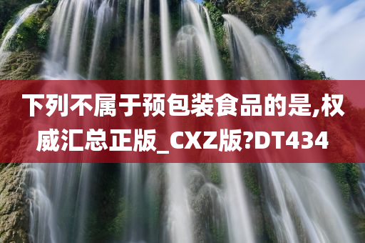 下列不属于预包装食品的是,权威汇总正版_CXZ版?DT434